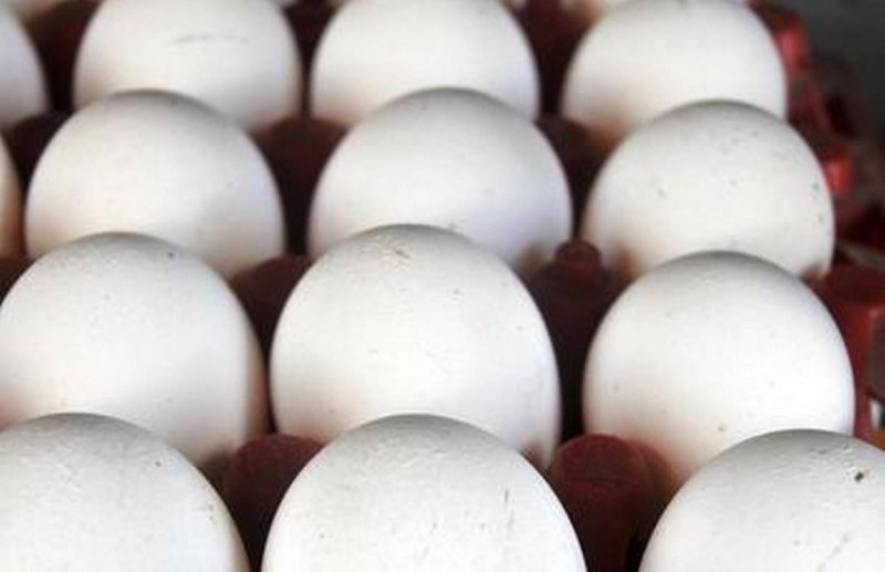 egg_rate_today_in_uttar_pradesh.jpg