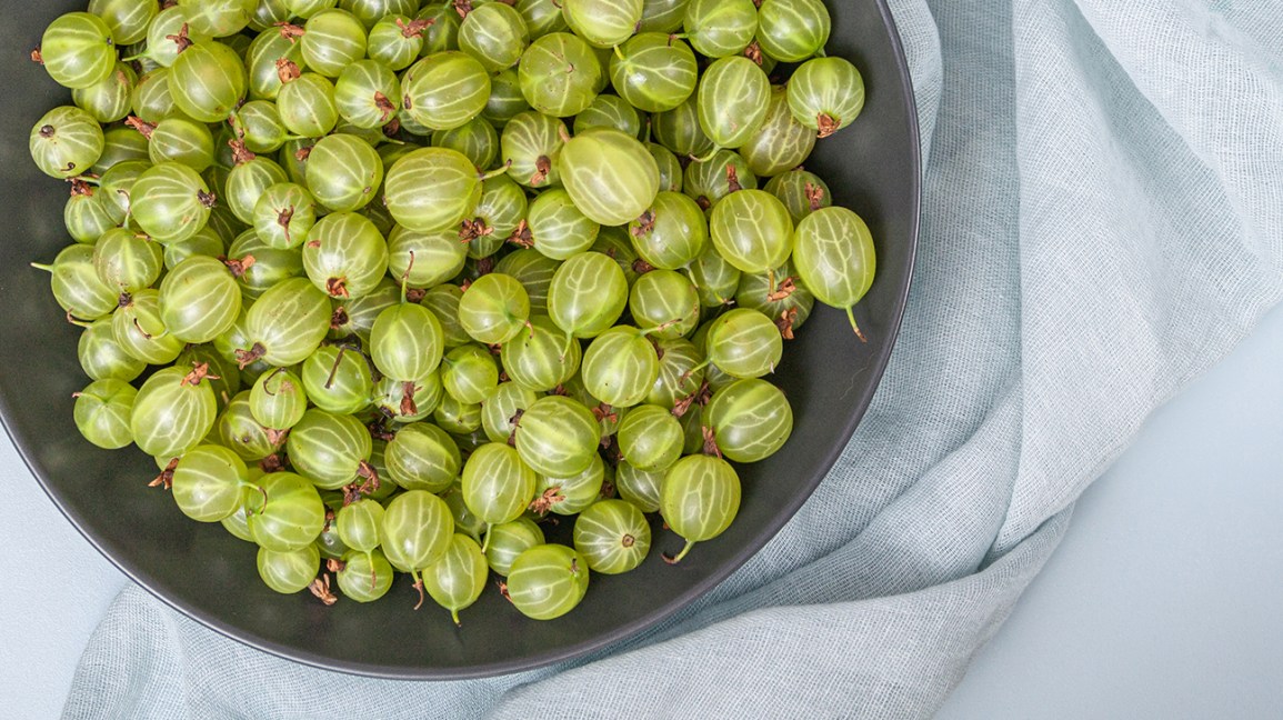 know all benefits of indian gooseberry