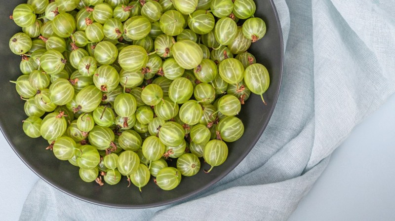 know all benefits of indian gooseberry