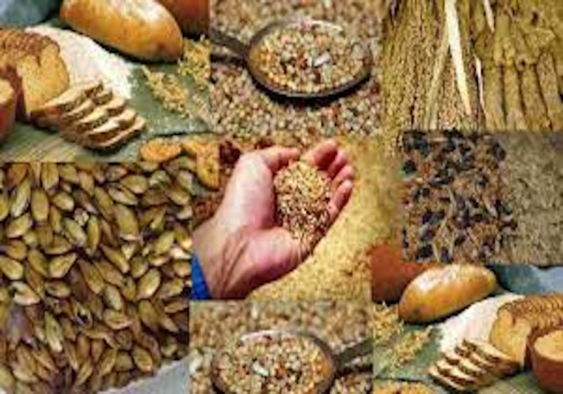 antyodaya anna yojana online application Registration process document