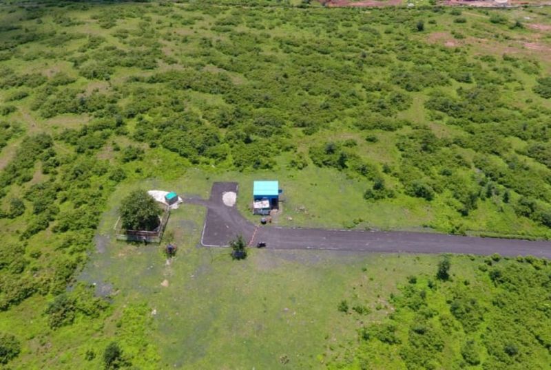 युनिवर्सिटी के बीच परिसर में रहेगा बोधि वृक्ष