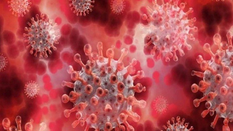 Gujarat Hindi News : विद्यानगर के आर्किटेक्चर कॉलेज में सात विद्यार्थी मिले कोरोना पॉजिटिव