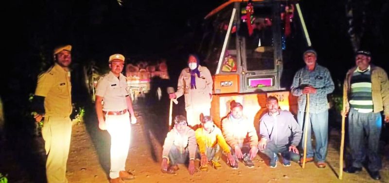 Wood was being cut in the forest in the truck, the team caught