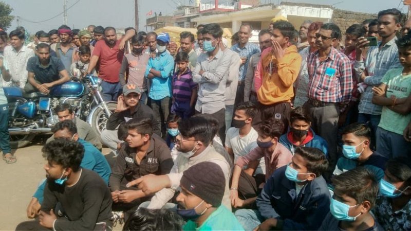 Understand the importance of wildlife by visiting Cody Plantation