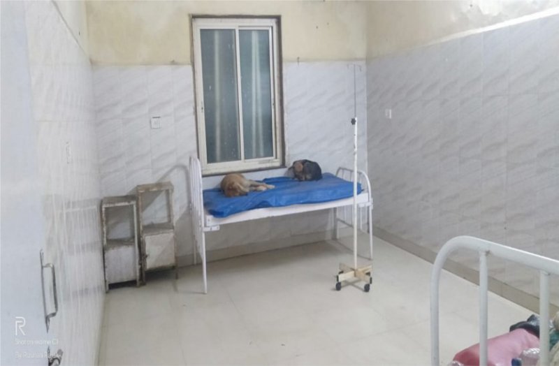 doctors came out in protest