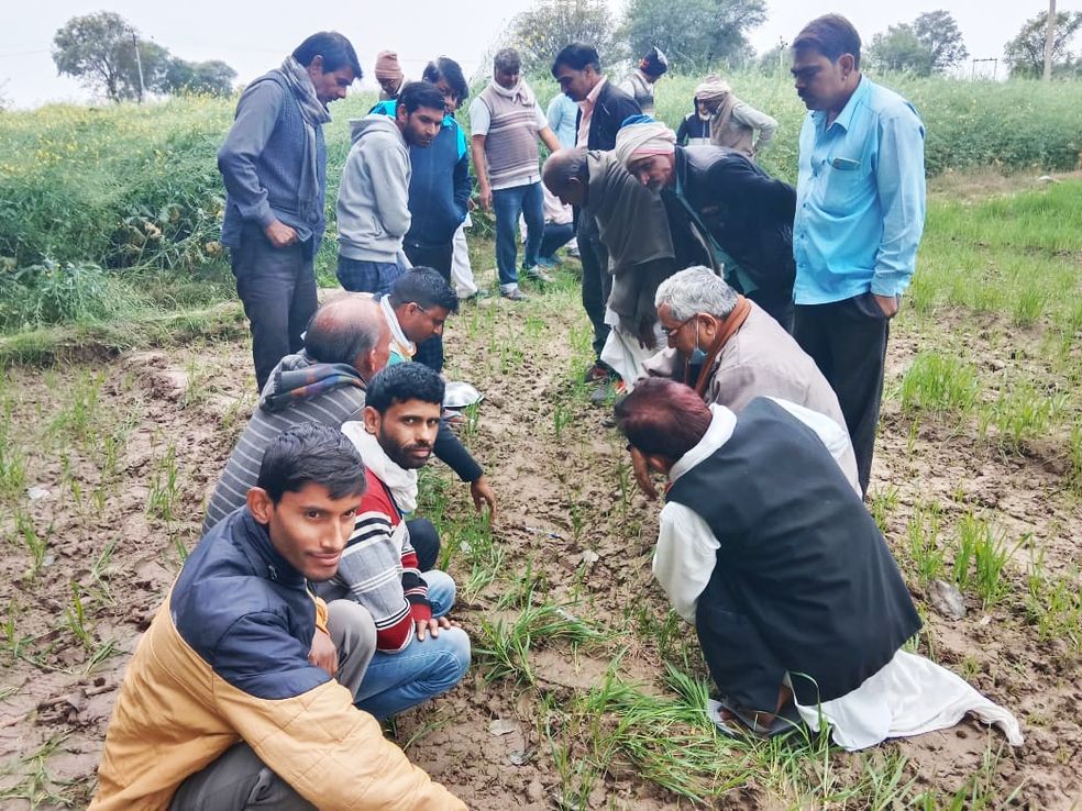 दर्जनों गांवों में फैली दहशत, खेतोंं में मिले जंगली जानवर के पदचिह्न