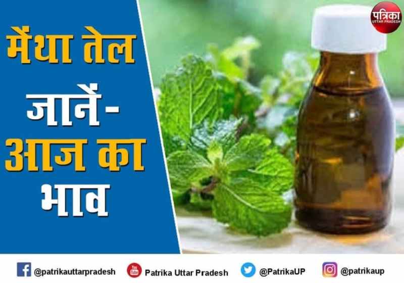 Mentha Oil Rate Mentha Oil Price Today : मेंथा ऑयल रेट धड़ाम से नीचे आया निवेशकों में हाहाकार, जानें-आज का Mint Oil Price