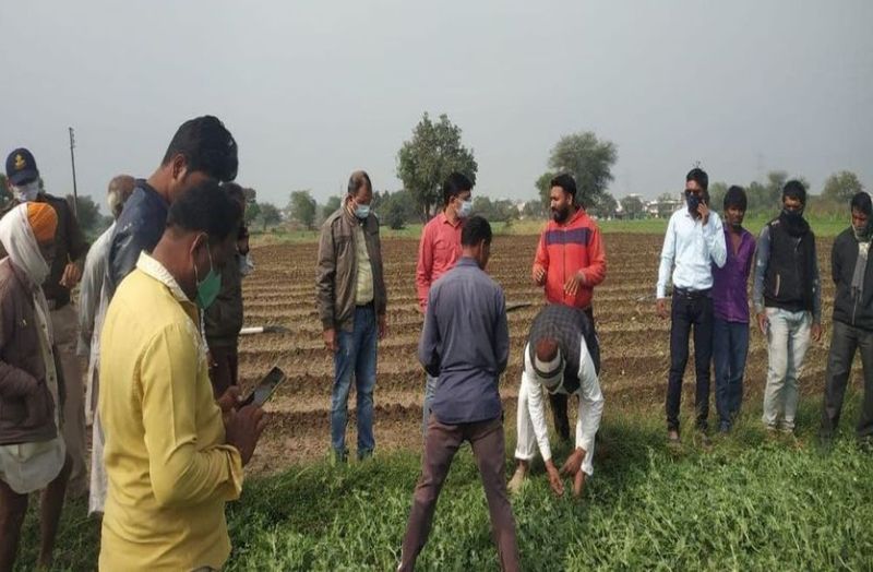 ले में करीब 800 हेक्टेयर क्षेत्र में फसलों को हुआ नुकसान