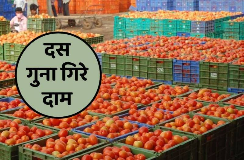 2 रुपए किलो हुआ टमाटर, आवक बढऩे से गिरे दाम, फिर बढ़ेगा भोजन का जायका