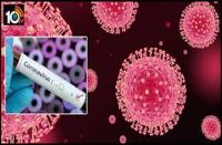 corona impact on institutions