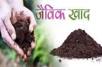 Cleanliness campaign