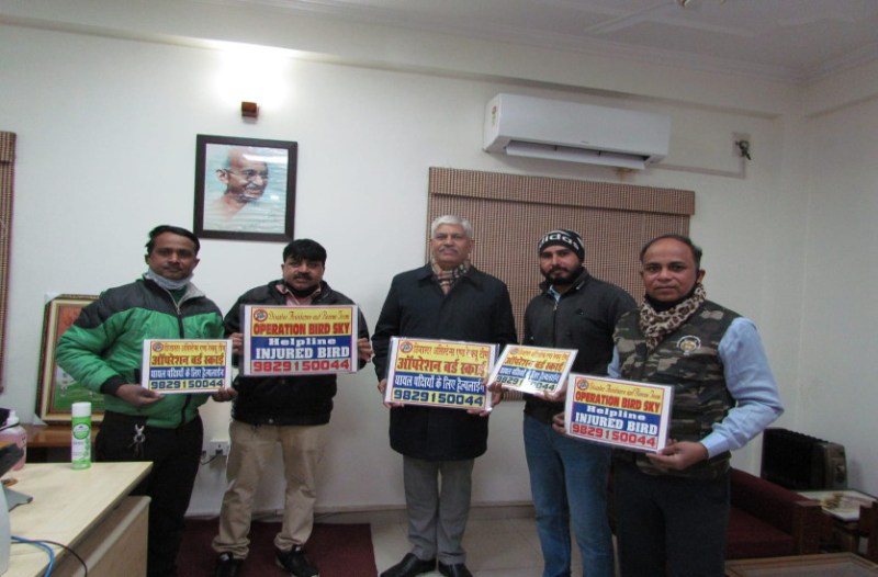 चार घंटे पतंग की रोक बचा सकती है वेजुबान की जान