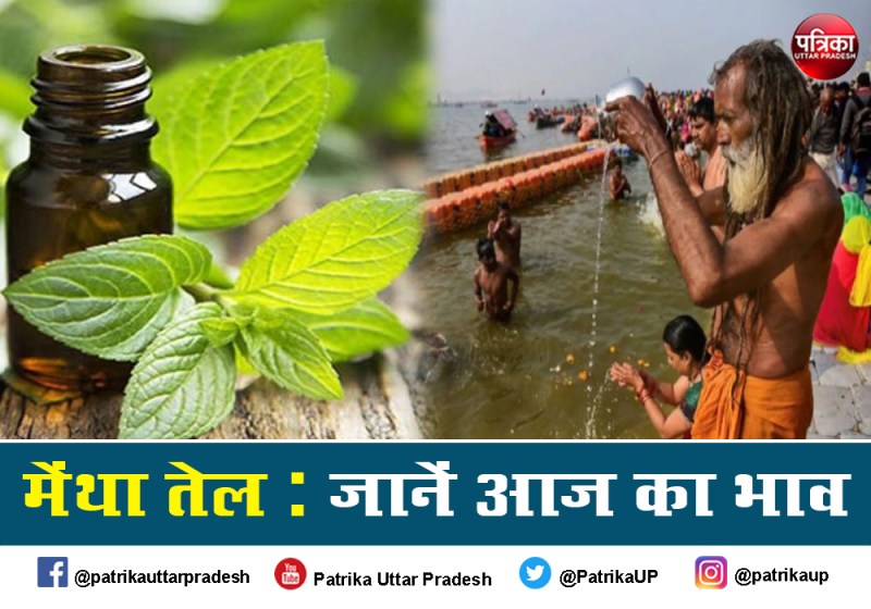 Mentha Oil Rate Mentha Oil Price Today : मकर संक्रांति पर मेंथा ऑयल धड़ाम से गिरा, जानें-आज का Mint Oil Price