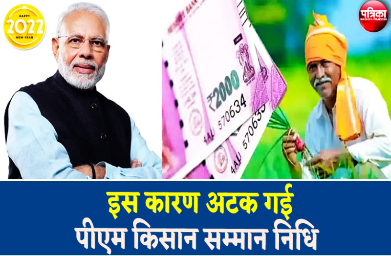 pm_samman_nidhi_scheme_2.png