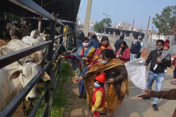 alwar makar sakranti celebration