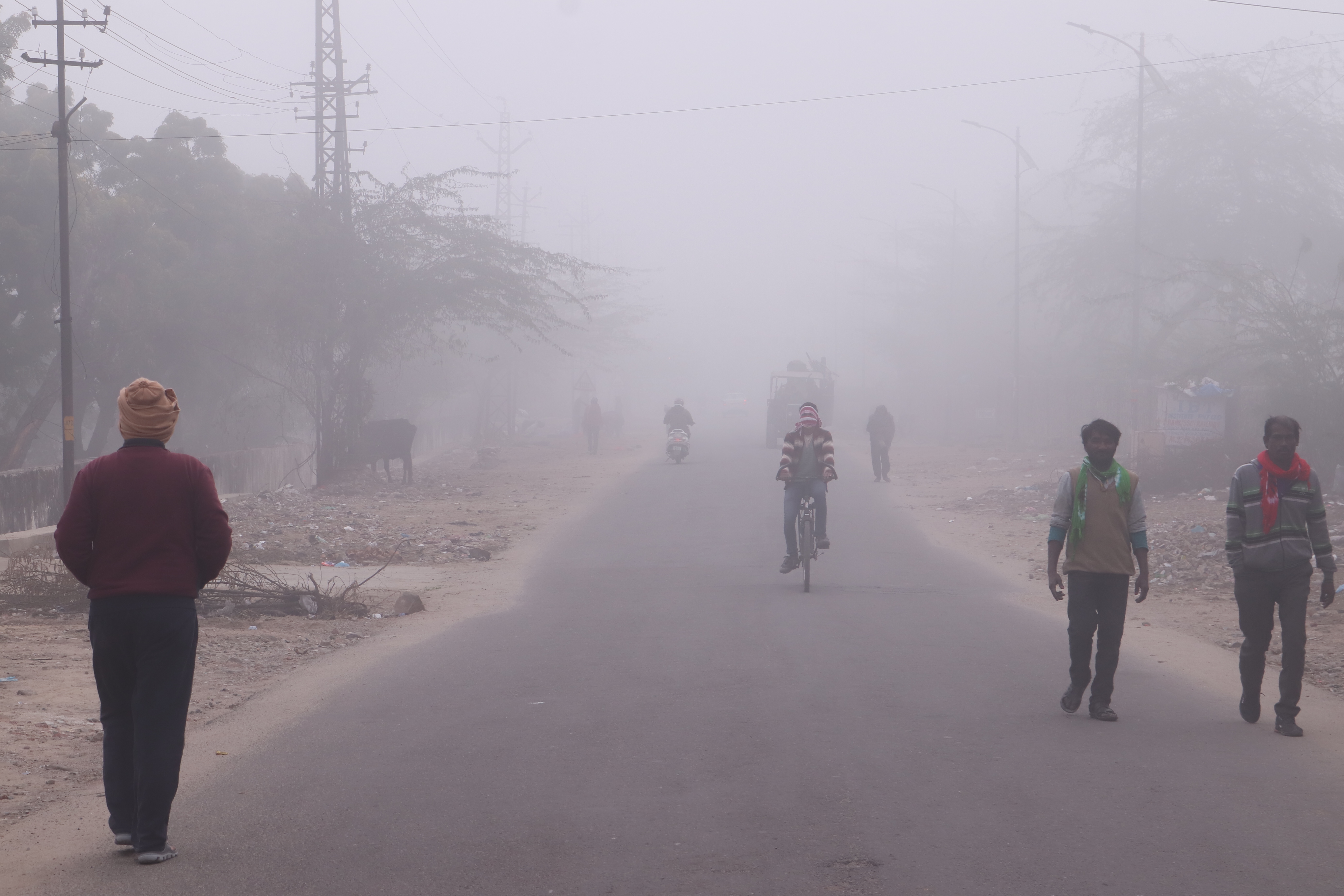 cold and fog in ajmer