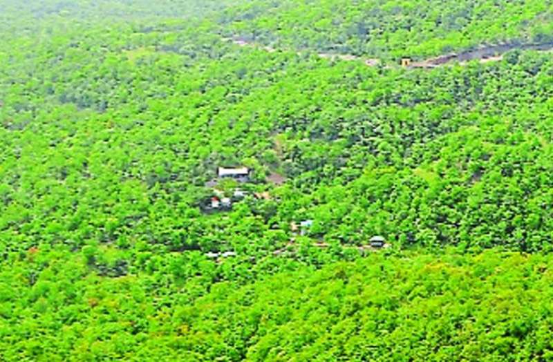 औद्योगिक क्षेत्र का प्रदूषण खत्म करने 7.5 एकड़ में बनाएंगे सघन वन