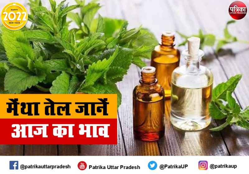Mentha Oil Rate Mentha Oil Price Today : मेंथा ऑयल की कीमतों में भारी उछाल, जानें आज का Mint Oil Price