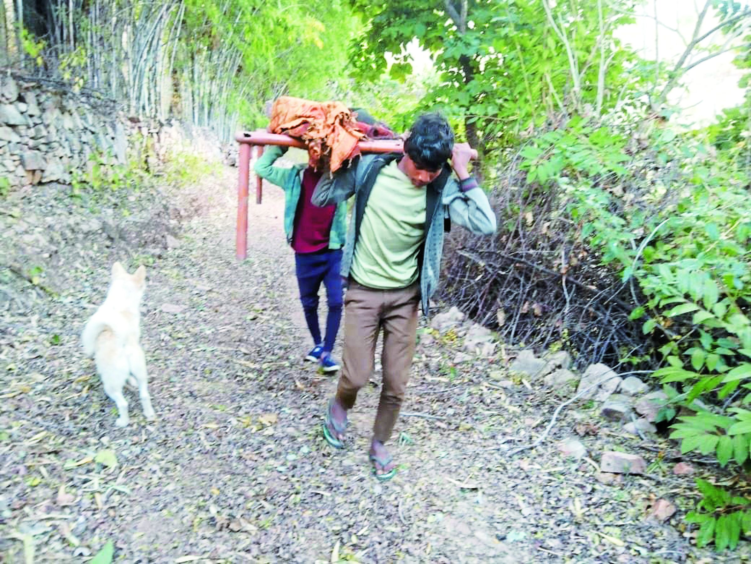 Tribal area news : Ambulance found after taking 3 km on cot