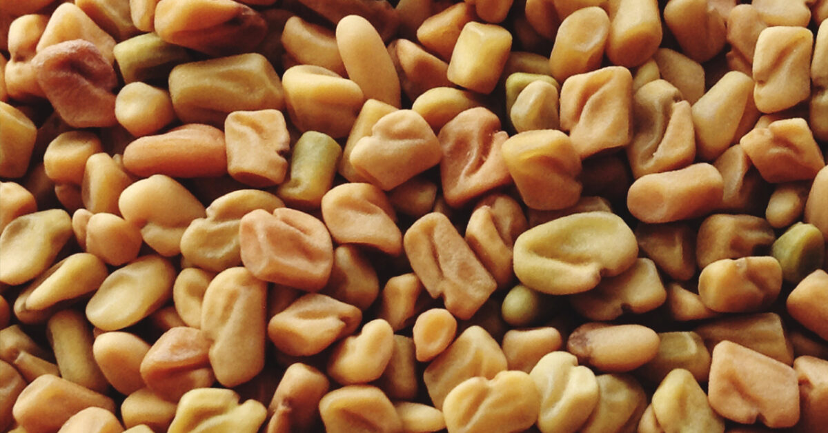 benefits_of_fenugreek_seeds_for_good_health_and_hair.jpg