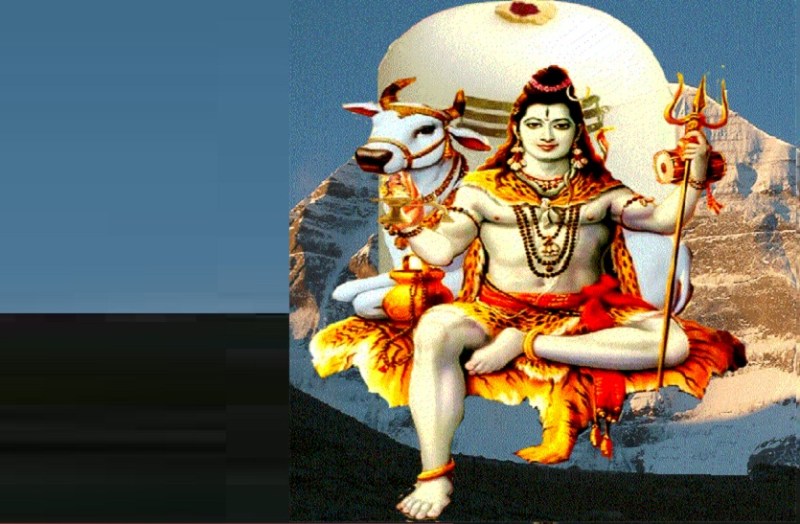 Demand for raising the flag by performing mass Rudrabhishek