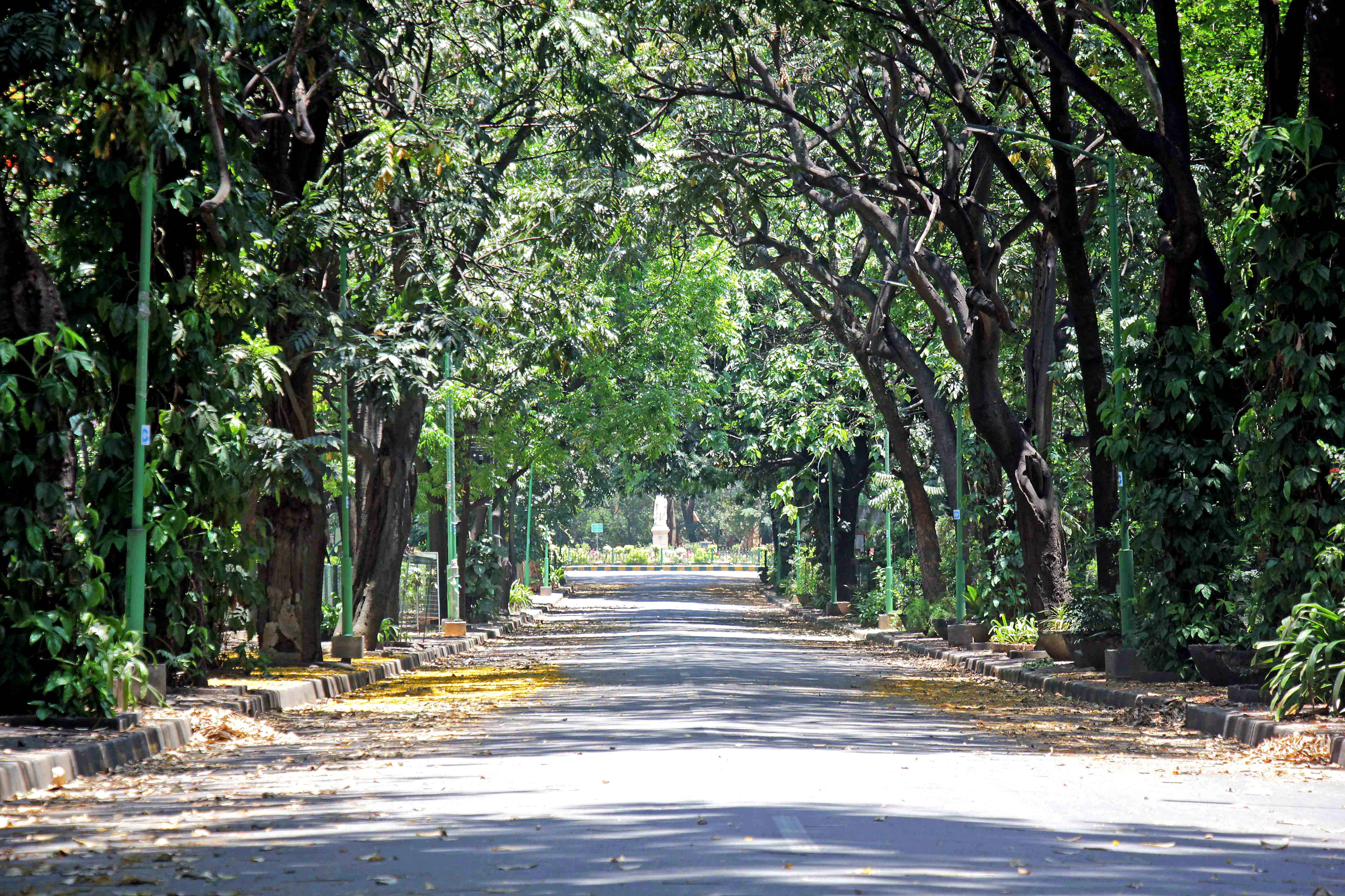 cubbon_park_01.jpg