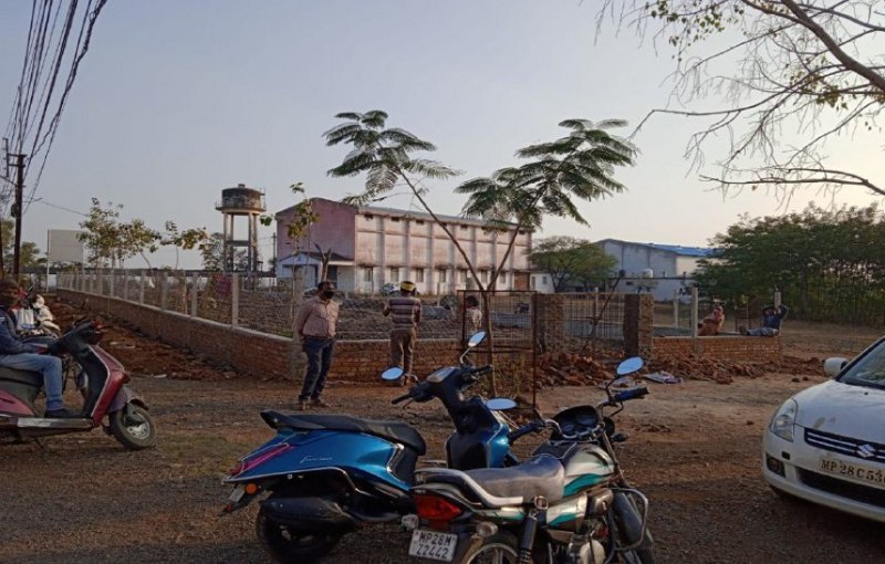 College: दुर्लभ पौधों से गुलजार होगा पीजी कॉलेज का गार्डन