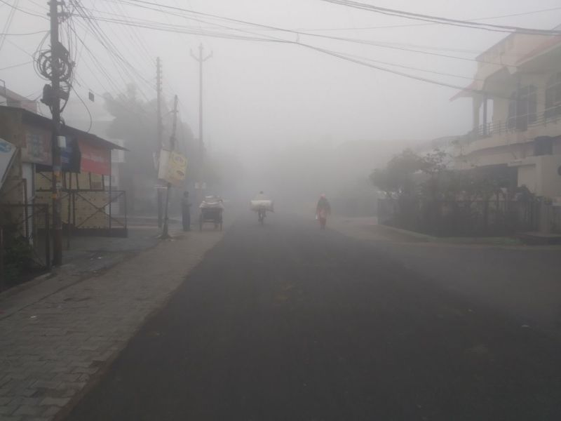 Weather forecast news today updates : NCR और West में दो दिन का यलो अलर्ट, शीतलहर और कोहरे की चपेट में ये जिले