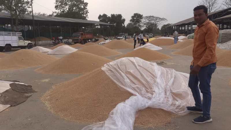 किसान पंजीयन एप के माध्यम से किसान मोबाइल से कर सकेंगे पंजीयन