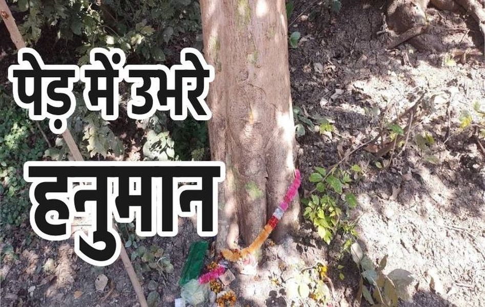 blind faith or miracle : Hanuman emerged on the tree