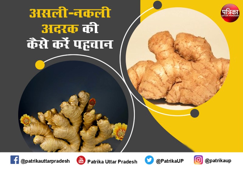 अलर्ट, अदरक के नाम पर बिक रही तहड़, ऐसे करें नकली अदरक की पहचान
