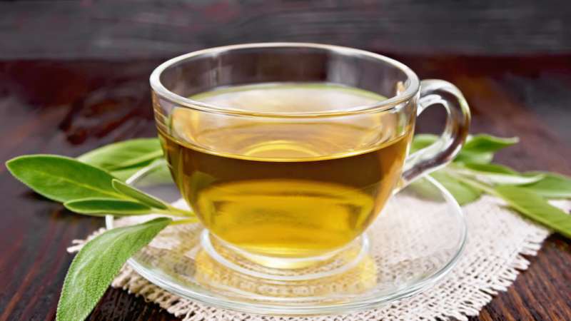 Perfect Way To Brew Green Tea For Strong Immunity