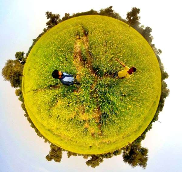 Basant Panchami- बसंत के स्वागत में खेतों ने किया बासंती श्रृंगार, देखें तस्वीरें...