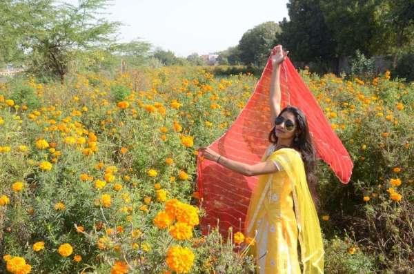 गेंदें के फूलों के बीच युवतियों ने लहराई चुनरी...
