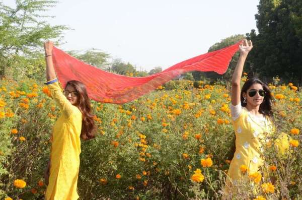 गेंदें के फूलों के बीच युवतियों ने लहराई चुनरी...