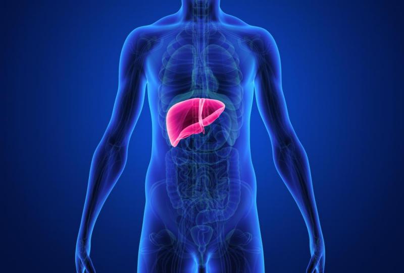 Liver Cancer– substances which increase the risk of liver Cancer
