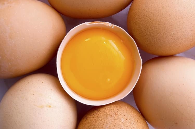 Health Benefits of Egg Yolk In Hindi