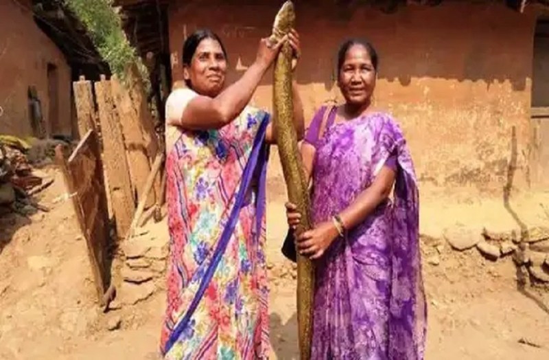 8 feet long Fish found in jharkhand's khunti
