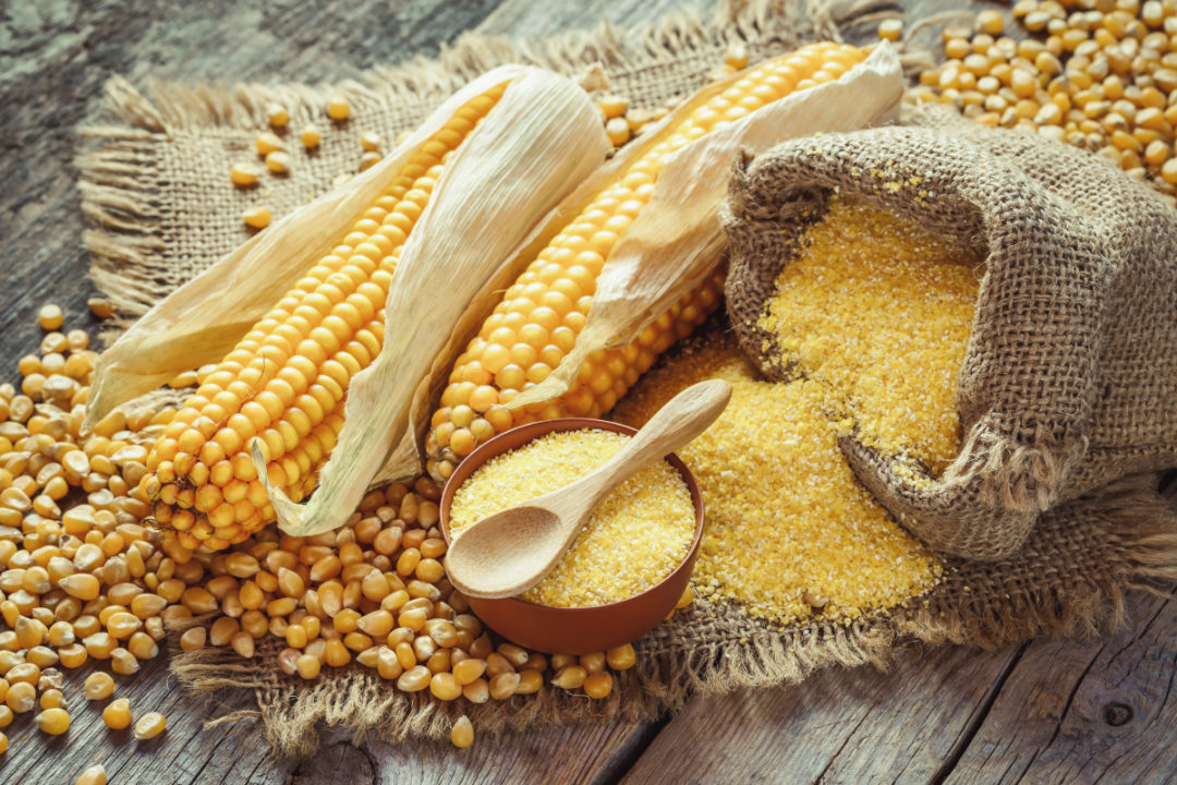 Health Benefits Of Maize And Its Side Effects In Hindi