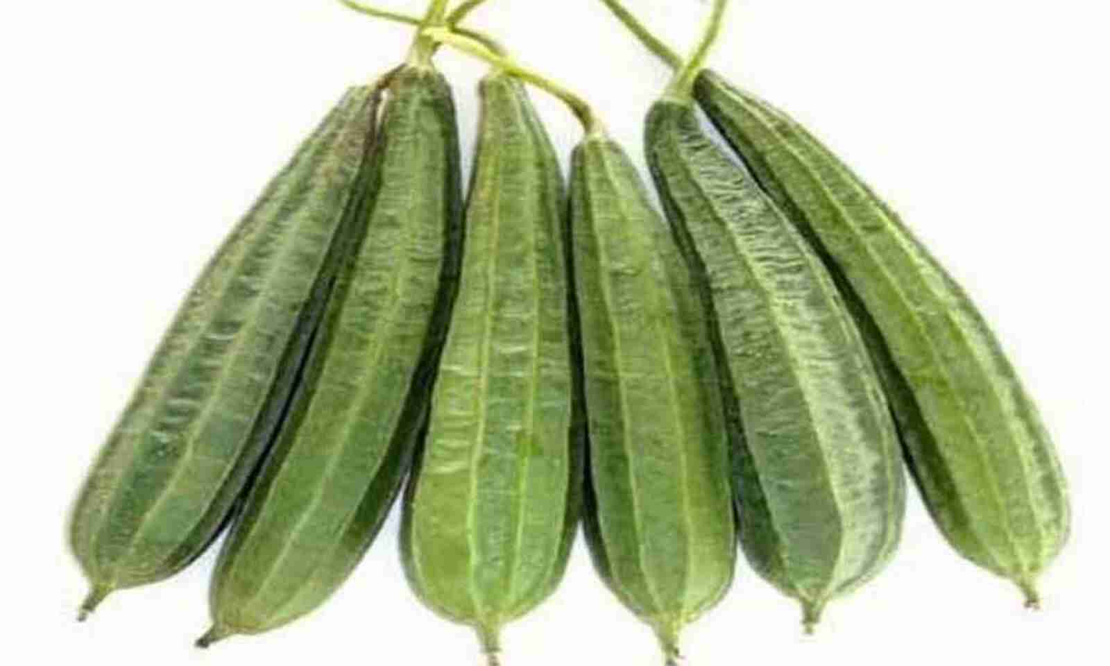 Health Tips: तोरई का करें रोजाना सेवन, कई गंभीर बीमारियों को दूर रखने में करता है मदद