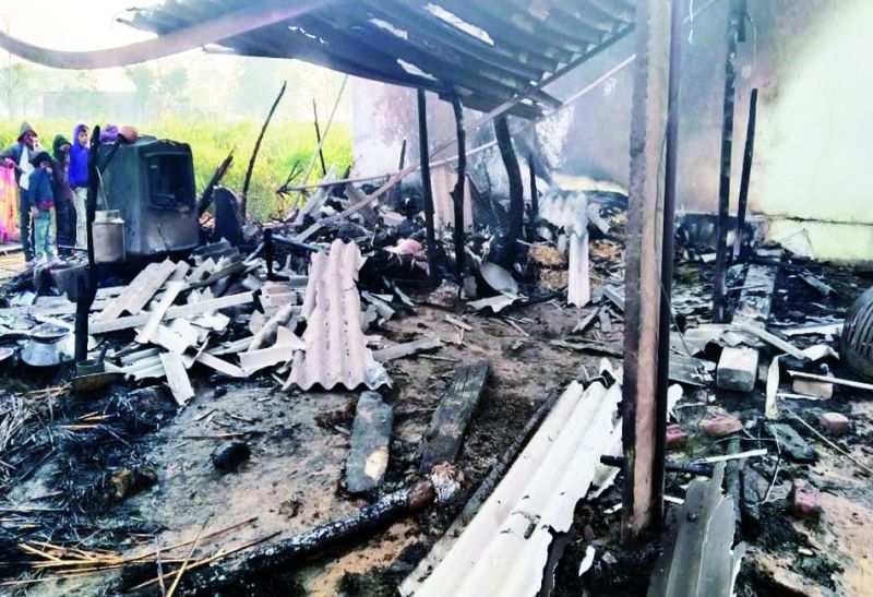 आग में जिंदा जली 65 बकरियां, बचाने के प्रयास में मां- बेटी झुलसी, लाखों का नुकसान