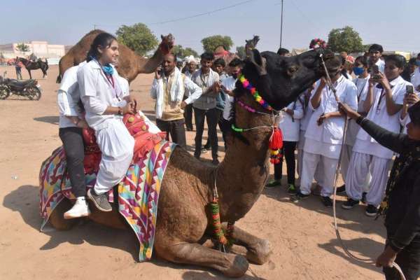 Ramdev cattle fair Nagaur