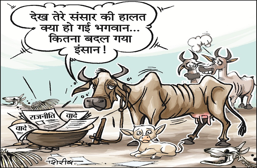 गऊ माता को दूध पीकर दुत्कार दिया : प्रदेश में सात साल में दोगुना हो गया आवारा गोवंश