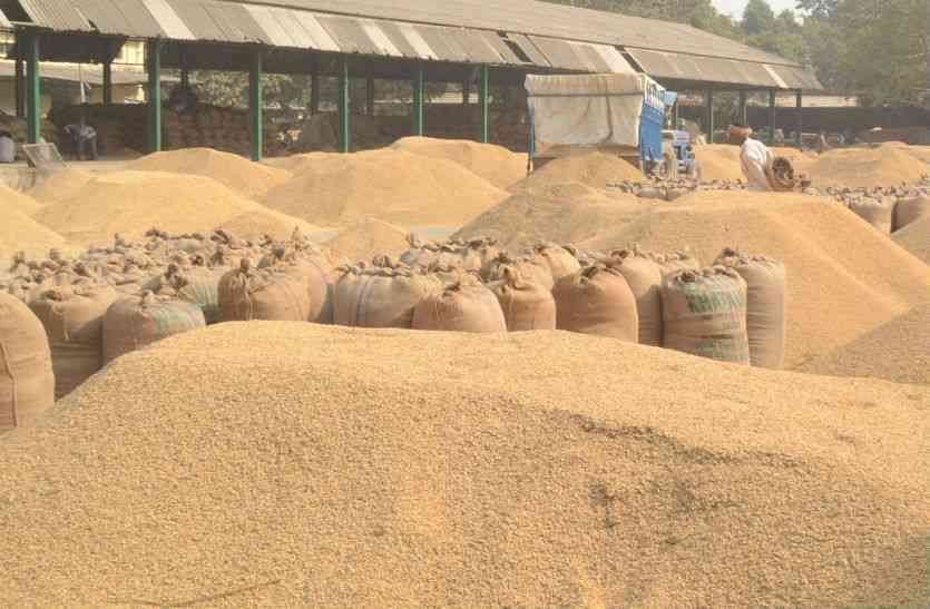 Fraud in Paddy purchase