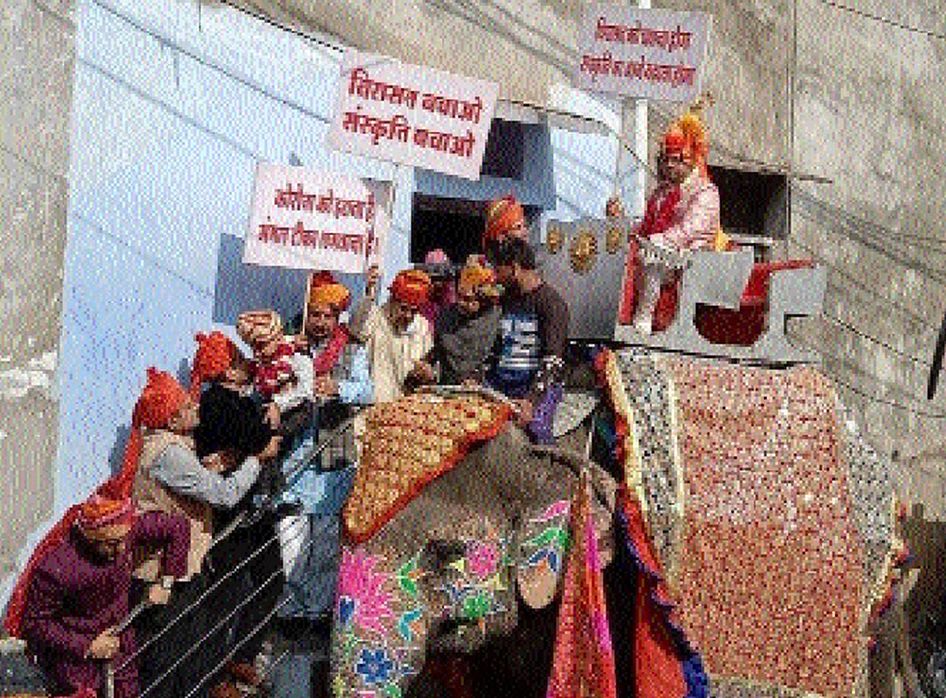 message of heritage : हाथी पर बैठकर दूल्हे ने दिया विरासत बचाने का संदेश