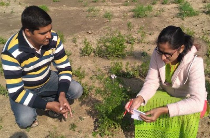 किसानों की आय दोगुनी करने के फॉर्मुले पर राजस्थान के आबूसर में हो रहा बड़ा प्रयोग