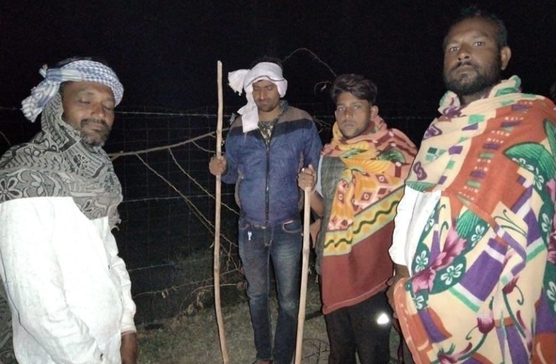 राजस्थान के एक दर्जन गांव में लाठी व टॉर्च के साथ कट रही किसानों की रात