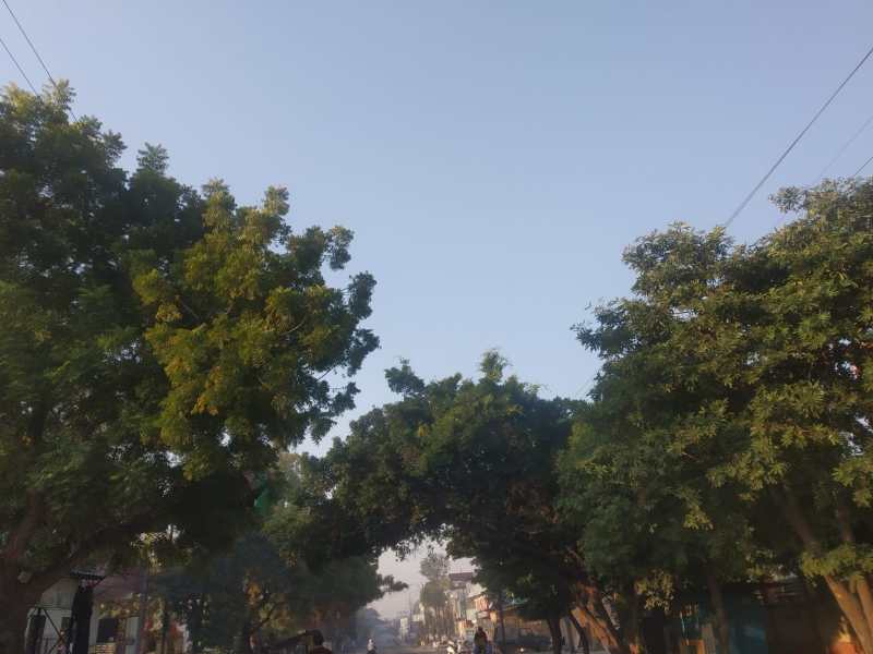 Weather Update News Today : बढ़ता तापमान कराने लगा सर्दी में गर्मी का अहसास,सक्रिय होने लगा एक और पश्चिमी विक्षोभ