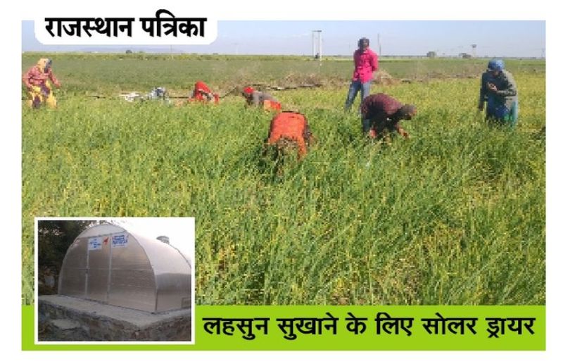 खेती किसानी : खेतों में बढ़ती मांग से मजदूरों को मिल रहा काम