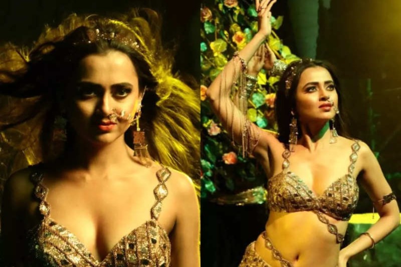 Tejashwi Prakash's performance in 'Naagin 6' impressed the fans